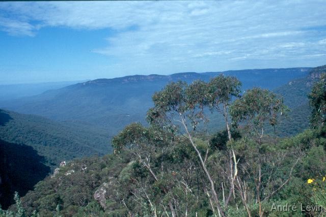 Blue_Mountains2 