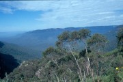 Blue_Mountains2 