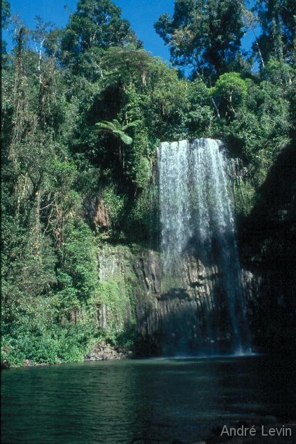 Millaa_Milla_Falls 