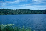 Lake_Barrine 