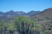 Flinders_Ranges 