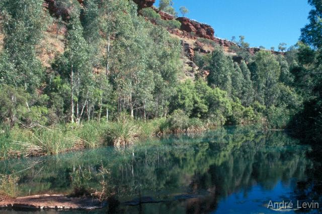 Dales_Gorge2 
